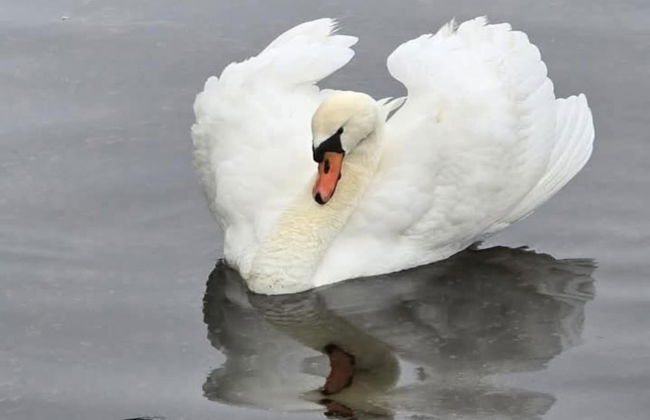 Stylish Harborfront Escape - Photo 25