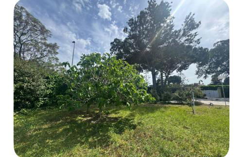 a casiña cottage in Chiclana - Foto 2