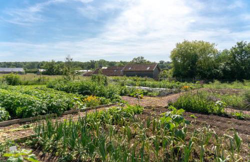 Retreat East - Foto 148