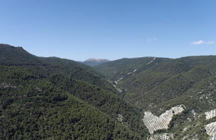 EL CONVENTO Vivienda Rural Jaén Andalucía España - Foto 33