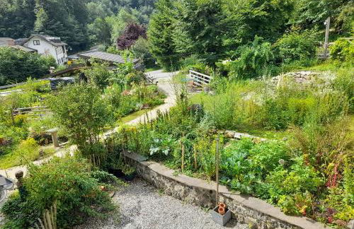 Im Naturgarten - Foto 29