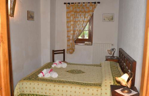 Il Palluccaro - Foto 4