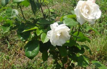 Casa Rural Arratzain - Foto 42