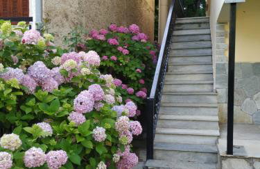 The House with the Hydrangeas - Foto 11