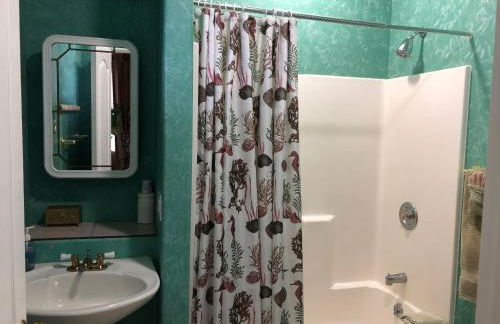 Aloha Alaska Vacation Rentals - Photo 6