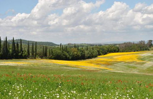 Awesome Apartment In Arcidosso - Foto 15