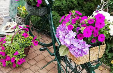 Kreativ Ferienwohnung Domizil der Sinne - Foto 23