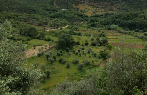 Comenda da Povoa - Foto 23
