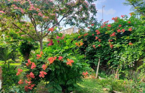 Precioso chalet próximo a Sevilla con jardín y piscina privada 8 personas Wifi gratis 2 salones 4 dormitorios 2 baños - Foto 76