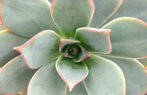 Finca la Tabaiba piscina compartida adultos - Foto 24