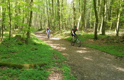 Haus Nordlicht - Foto 11