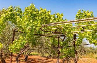 KrinesGReece - Foto 36