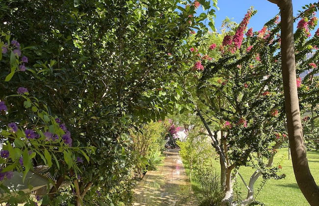 Mesudiye Apart - Foto 10