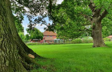 6 Bed in Wymondham oc-t30598 - Foto 19