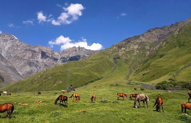 Mountain Flower cottage - Foto 24