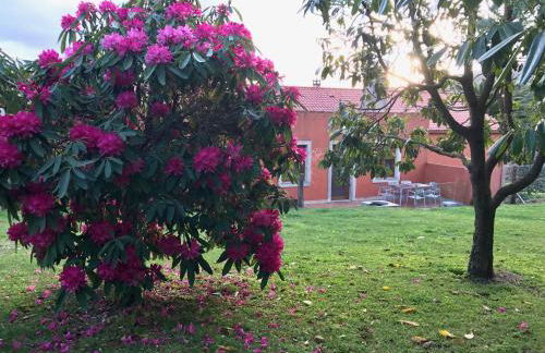 A Casa de Lelo - Foto 21