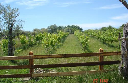 Aroggia Farm - Foto 38