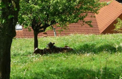 Landhaus Valentin - Foto 57