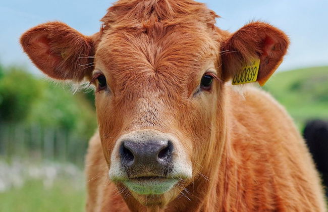 5 Person Holiday Home in Storvik - Photo 2