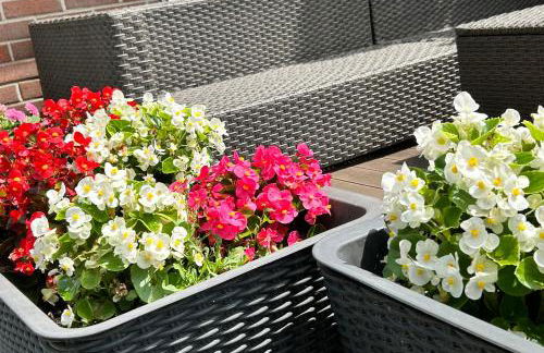 Reitsportzentrum Lichtenholz - Photo 18