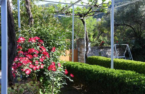 Art Flowers and Culture - Foto 17