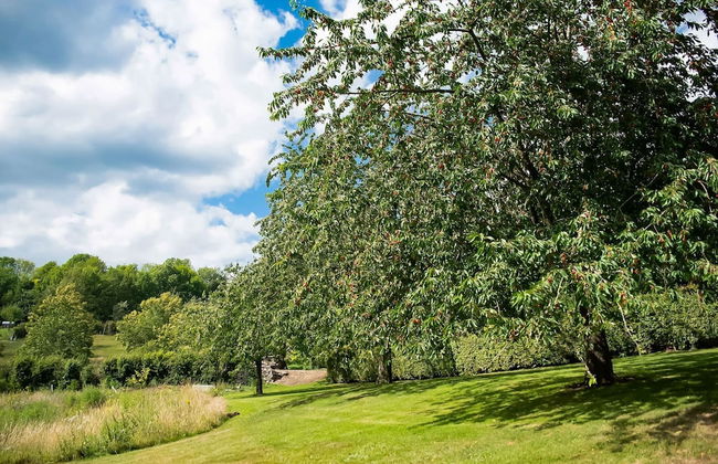 House in Sint Jansrade With Pool - Foto 38