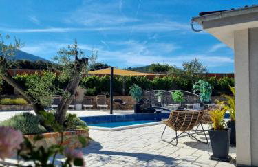 Vila s jacuzzijem i bazenom Mavrinac - Foto 5