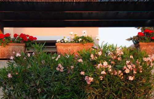 Villa Rosa with private pool, Athens Riviera - Foto 6