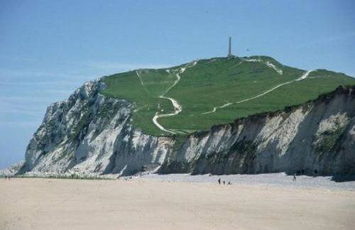 la sardine dorée - Foto 22