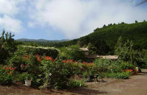 Casa Rural La Gustoza - Foto 37