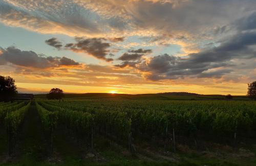 Winzerhof Henkenberg - Foto 7