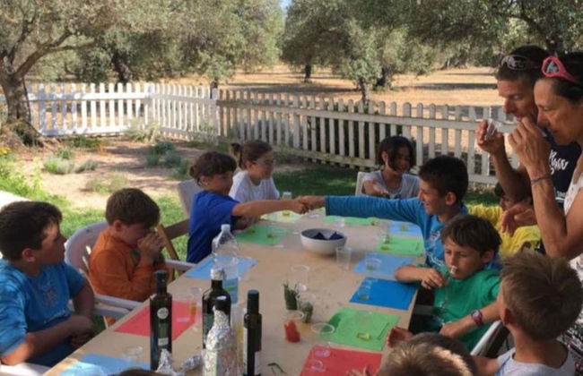 Visita a una almazara y su olivar + Cata de aceite - Foto 5