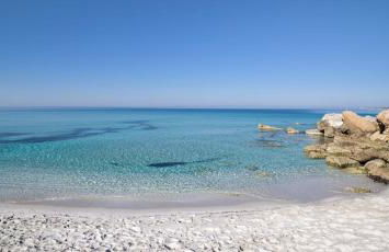 Ale house experience - Foto 40