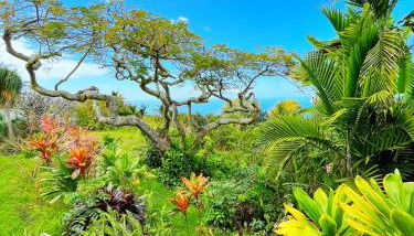 Gingerhill Farm Retreat - Foto 4