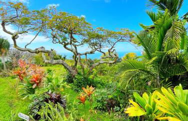 Gingerhill Farm Retreat - Foto 4