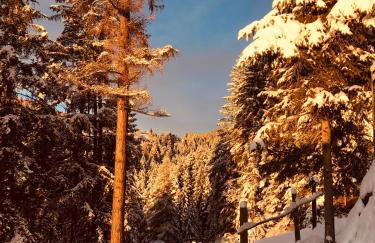 Chalet Tschattlhof Dolomites - Foto 17