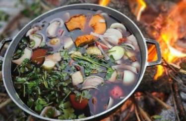 Jungle Oasis By Busch Gardens USF and Amphitheater - Foto 30