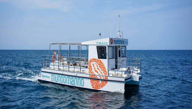 Paseo en catamarán al atardecer por la costa de Valencia - Foto 5