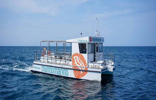 Sunset Catamaran Cruise - Photo 5