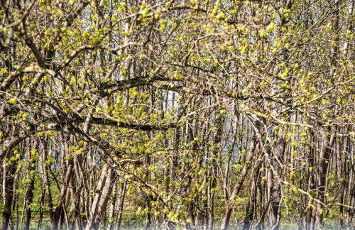 At the beach - Traumhafte Wohnung mit Sauna - 100m vom Strand - Foto 45