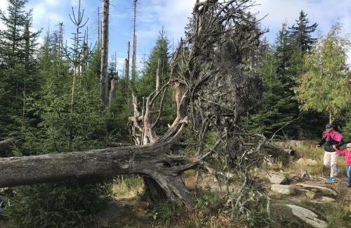 One-bedroom apartment - Foto 15