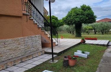 Olivemare Holidays - Foto 3