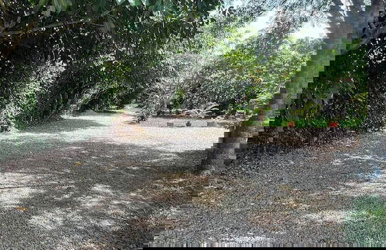 Luxury Glamping in Ruztico - Photo 29