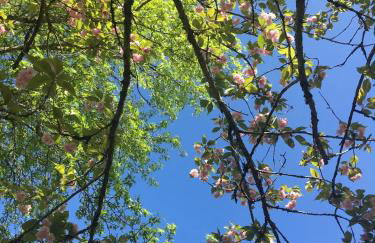 Beautiful French mansion Perigord Dordogne Lascaux - Foto 13