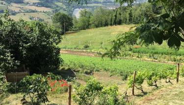 Casa nella natura a Bobbio - Foto 5, Garden, Garden view