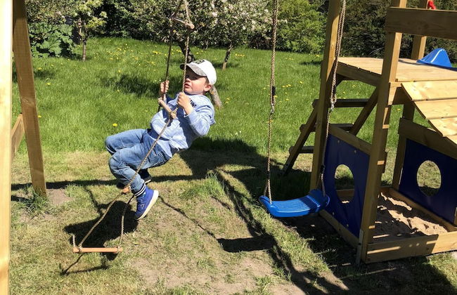 Ostseemuschel - Foto 15