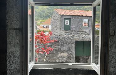 Cá Por Casa Pico-Criptoméria - Photo 11