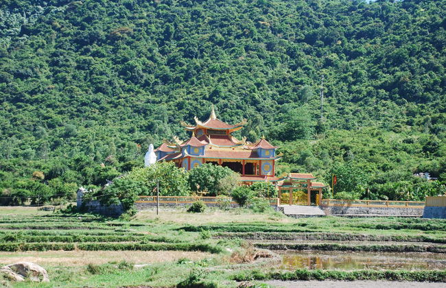 Excursión a la isla Cham en lancha rápida - Foto 5