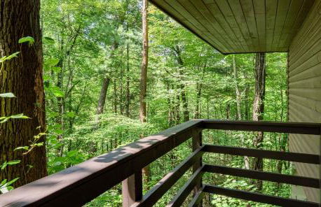 New Listing! Mountain cabin - Foto 32