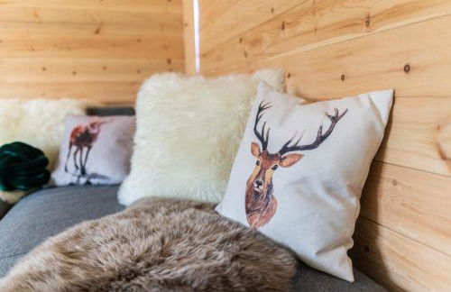 Haus am Wald - Ferienhaus mit Garten & Hund in der Sächsischen Schweiz - Foto 11